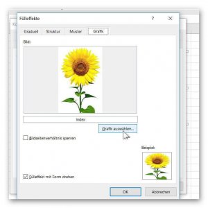 Grafik für Zellkommentar in Excel