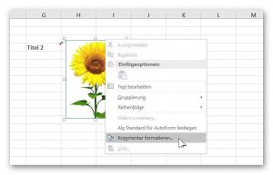 Zellkommentare in Excel bearbeiten