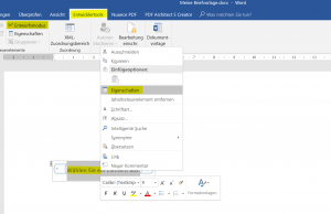 4. Entwurfsmodus Entwicklertools Word