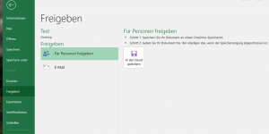 Excel 2019 Optionen - Ansicht 3